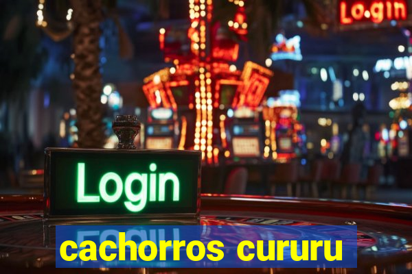 cachorros cururu